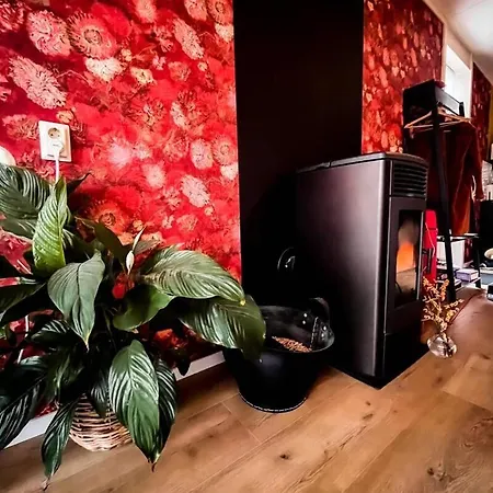 B&B Twijfelveld-3